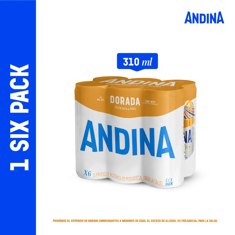 SixPack Cerveza Andina Lata