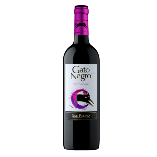 Gato Negro